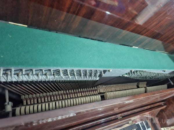 Pianina sotilladi